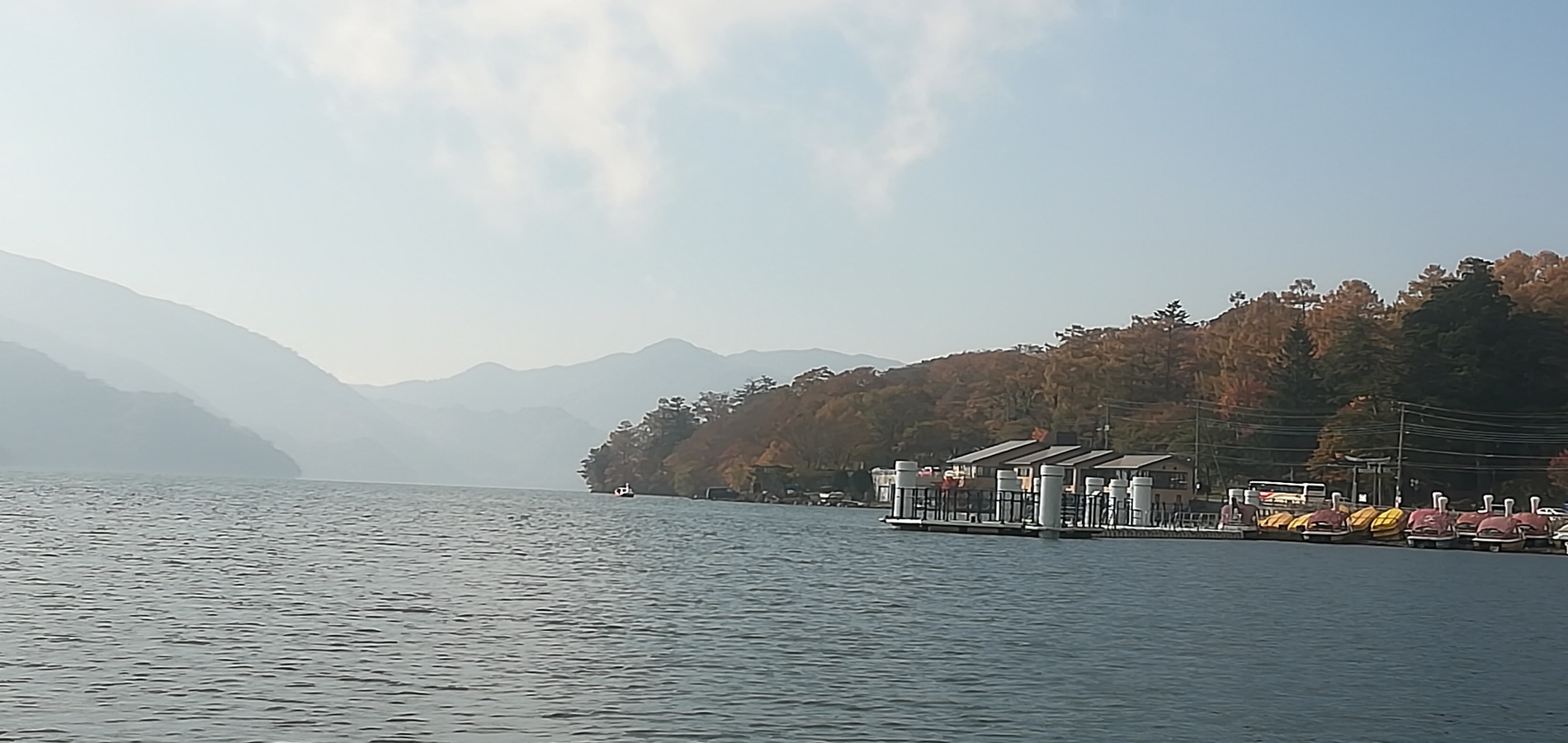 増渕行政書士事務所ようこそ